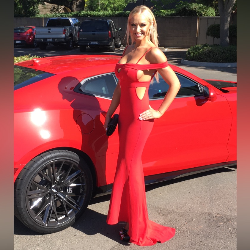 Lovers + Friends Cece Gown In Red Rose